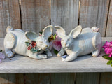 Thumper the Rabbit with flowers 10" L